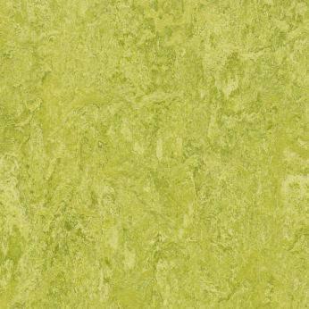 Линолеум натуральный FORBO Marmoleum Real chartreuse